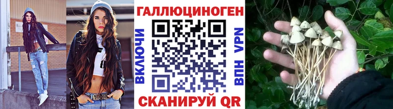 Галлюциногенные грибы Cubensis  закладки  Малмыж 